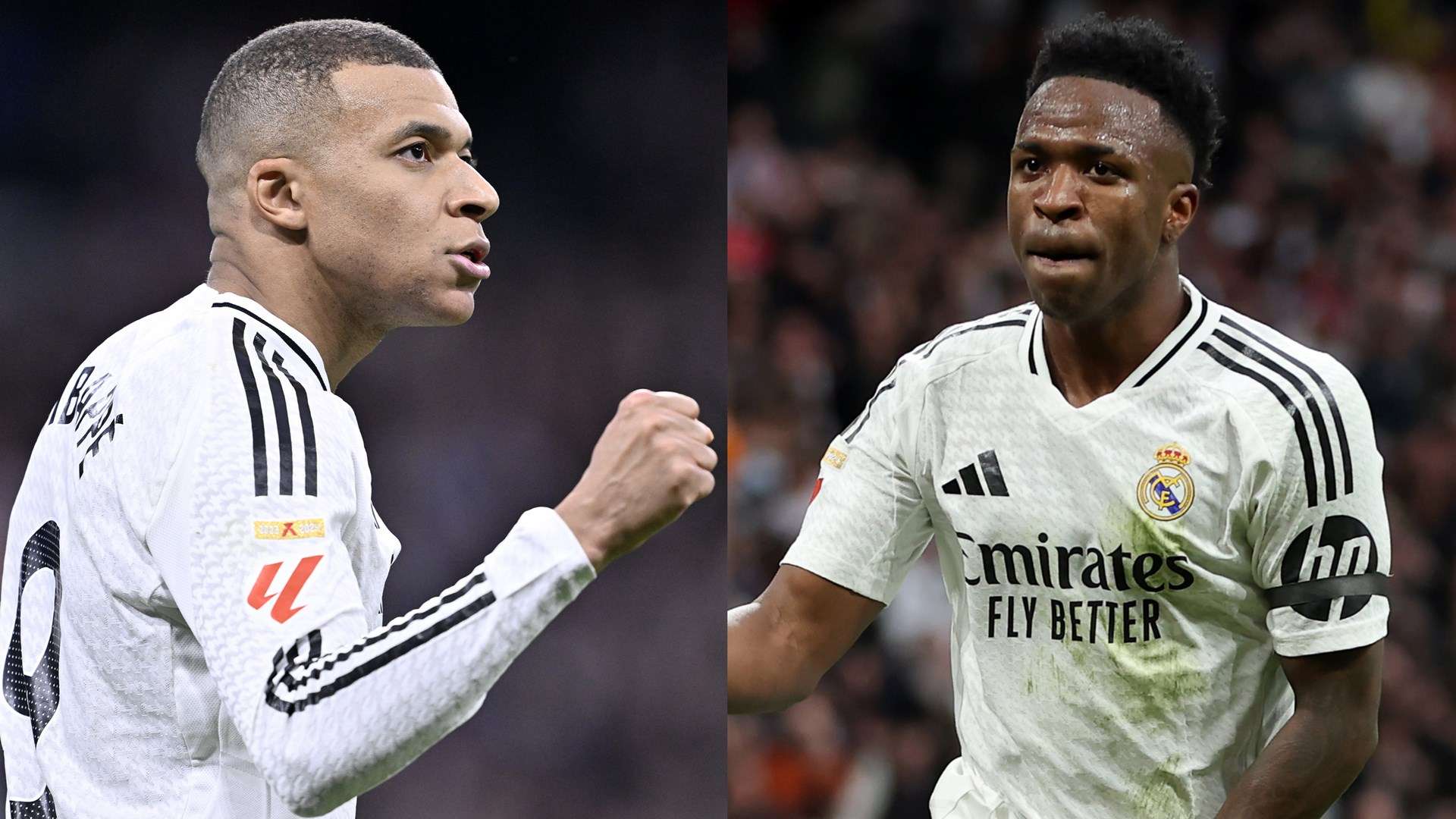 的适应性和 的适应性和