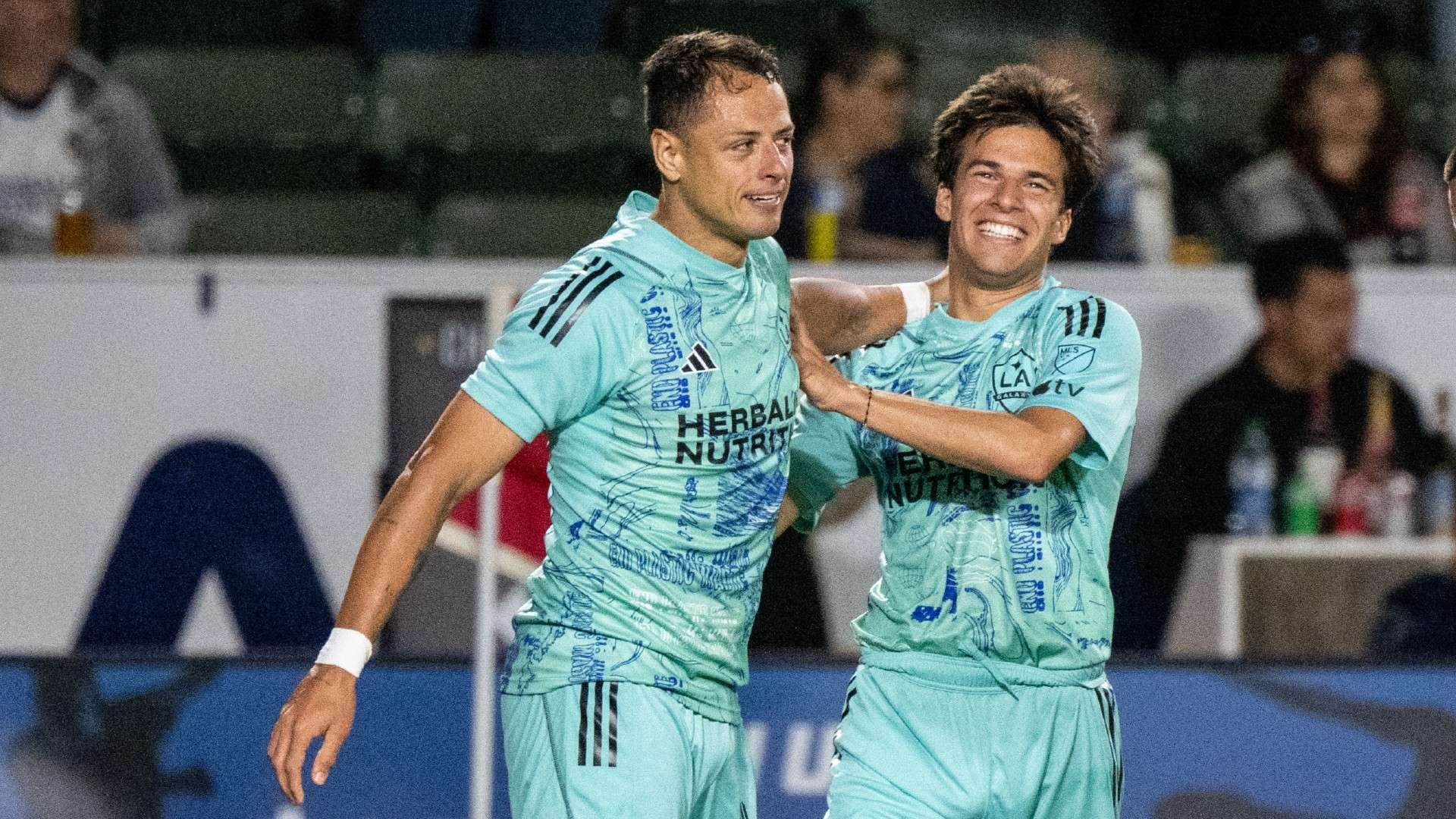 更是职业生 更是职业生