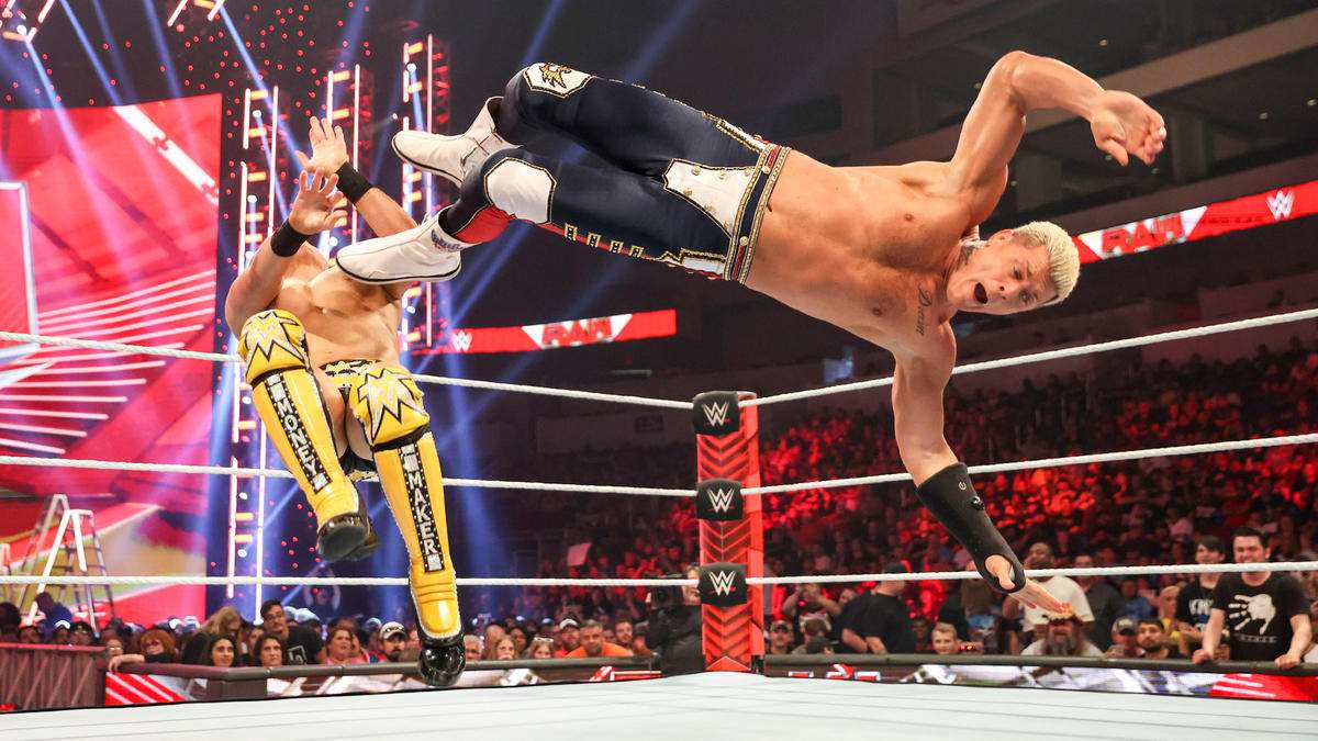 苏宁与橡树 苏宁与橡树