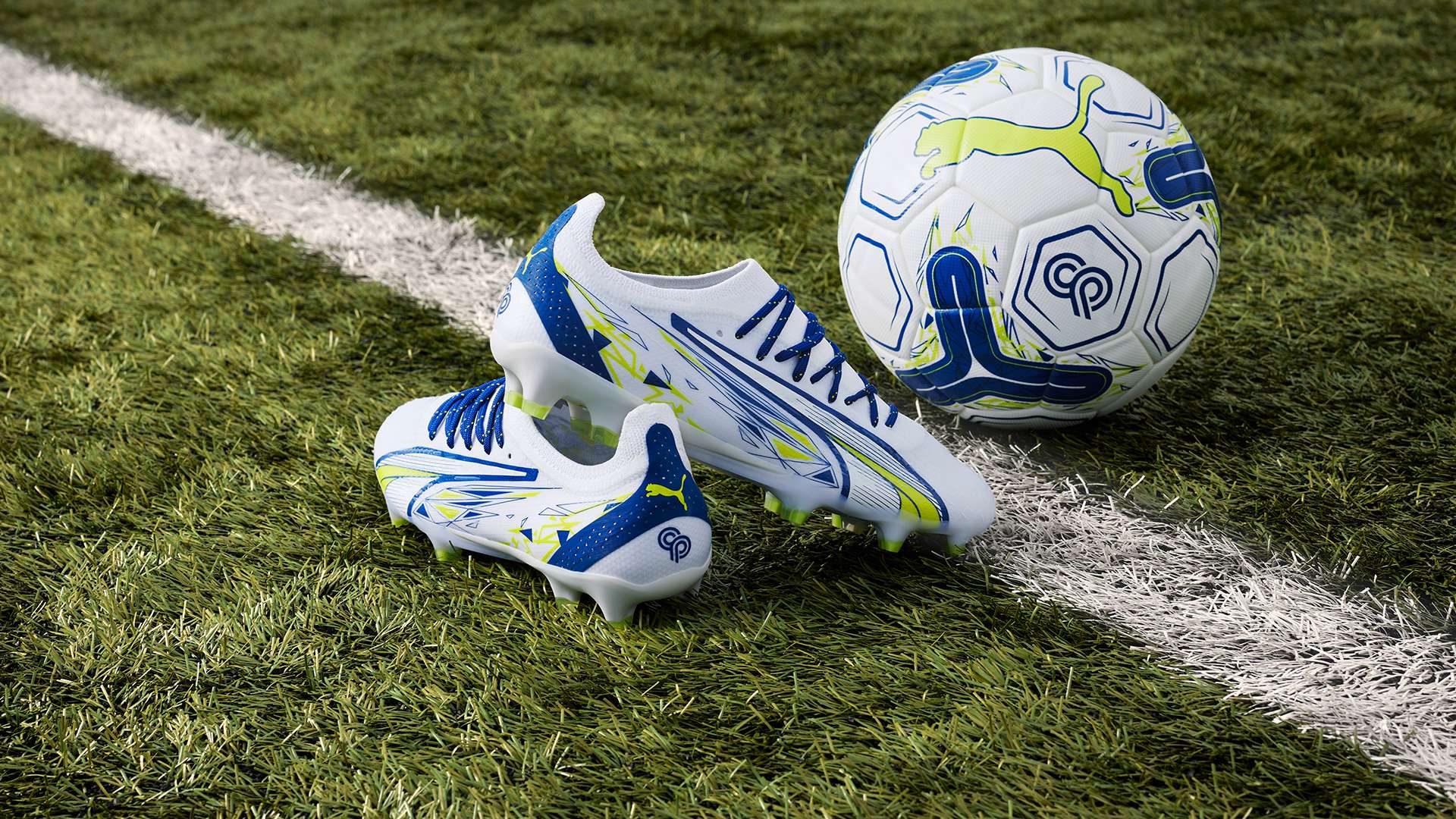 部的合作精 部的合作精