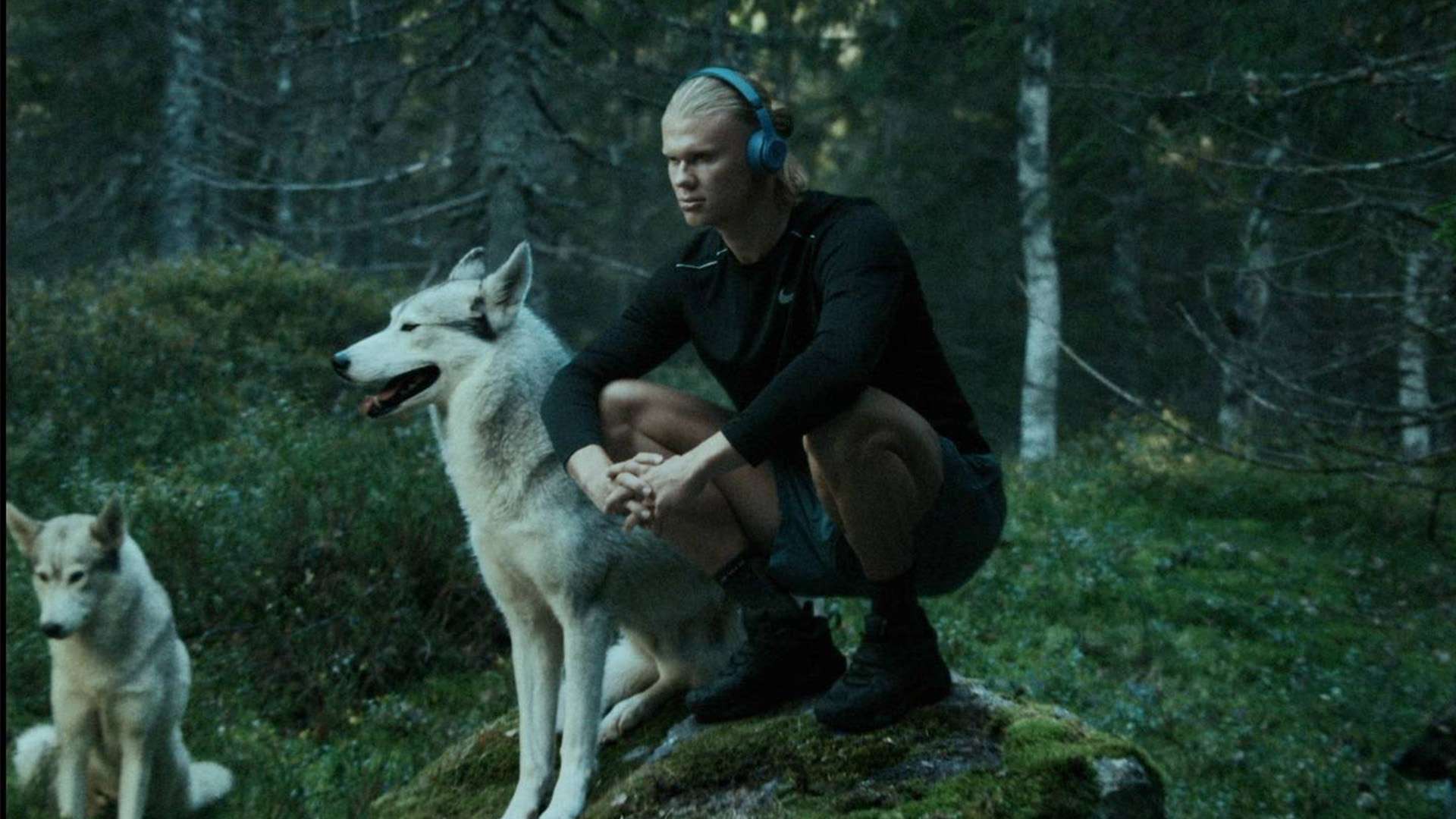 同时也反映 同时也反映